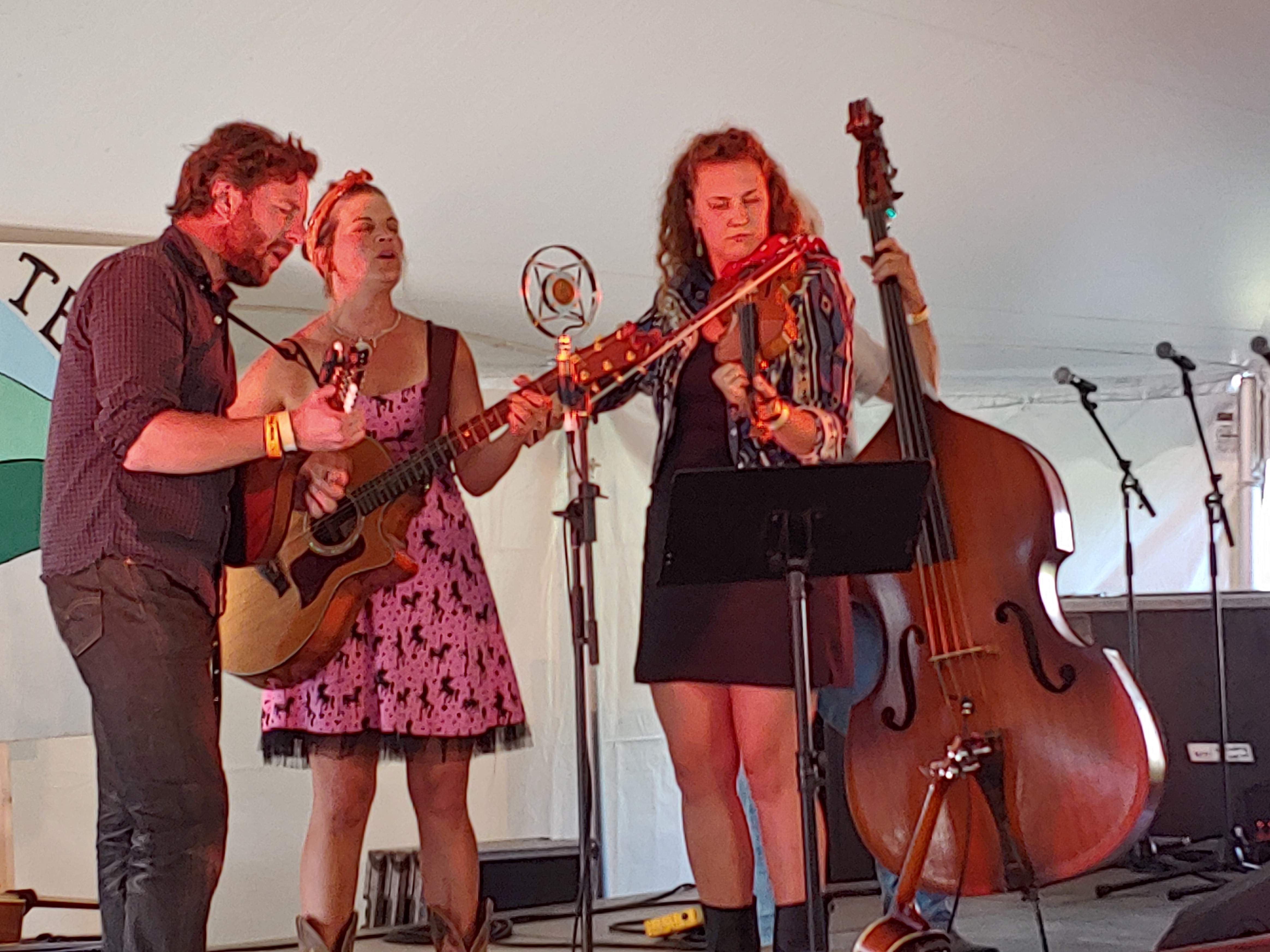 LuminousCrush2018-08-16GreenMountainBluegrassAndRootsFestivalManchesterVT (1).jpg